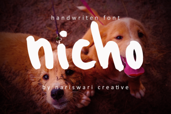 Nicho: A Versatile Display Font for Modern Branding